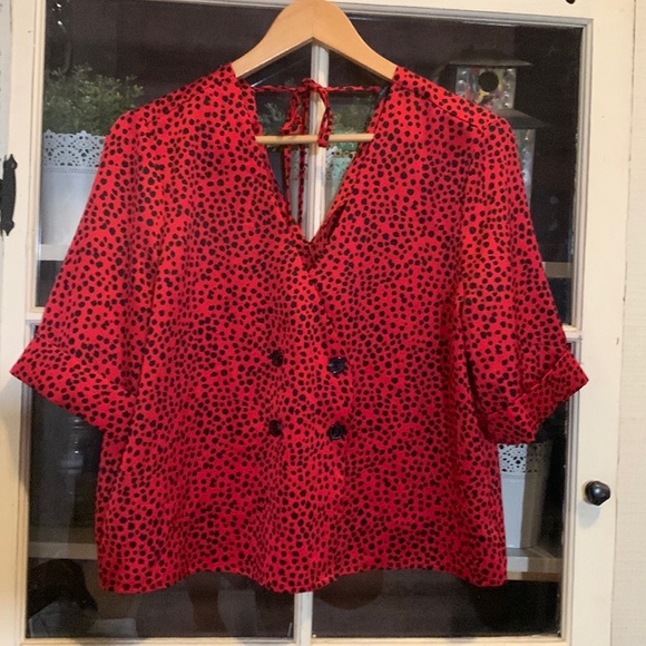 Dynamite Tops - 🌿3/$20 Dynamite Blouse with a cheetah print